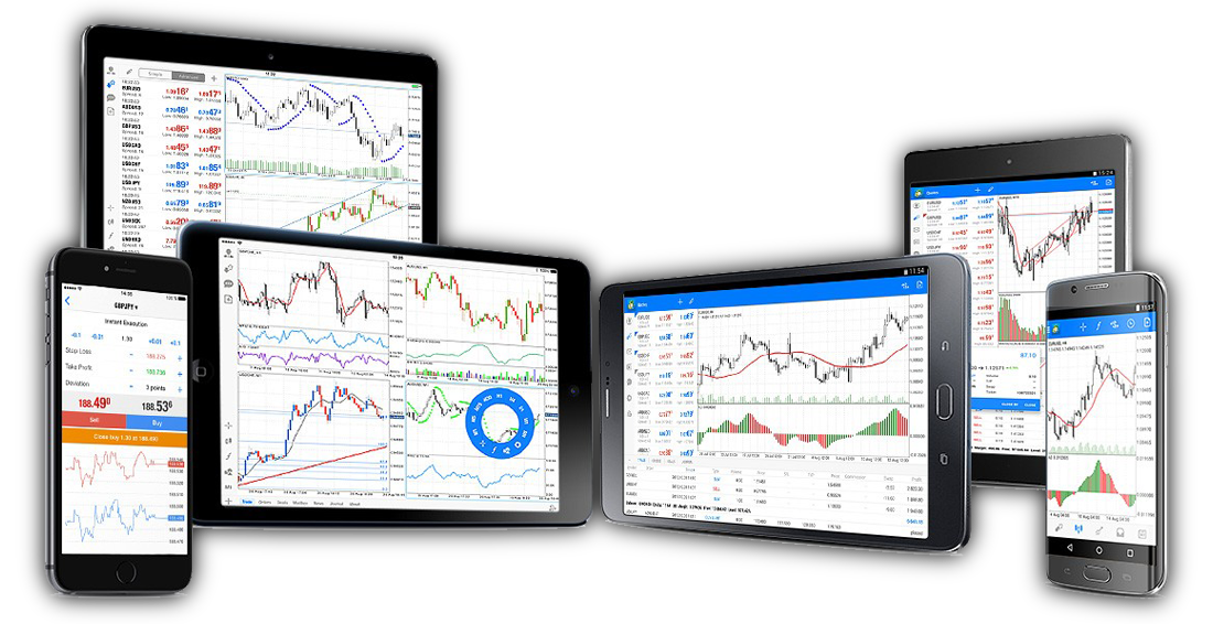 MT5 Web Terminal